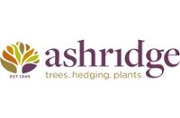 Ashridge Nurseries