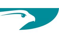 Falcon Property